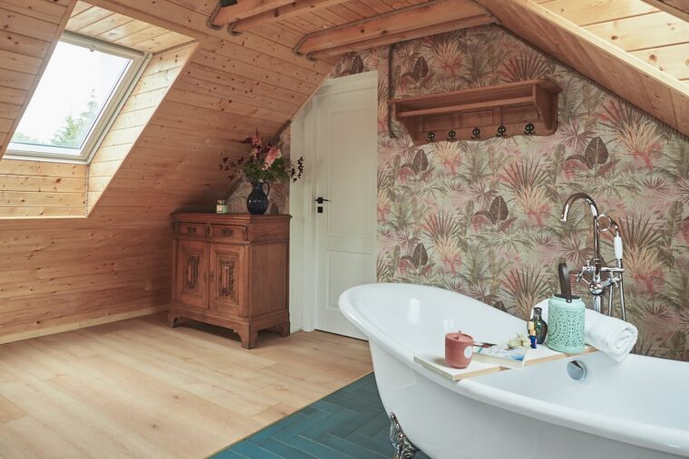 apartamenty-na-mazurach-krolowa-kaczek