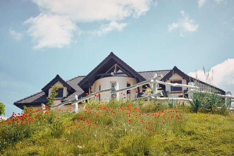 apartamenty-na-mazurach-krolowa-kaczek