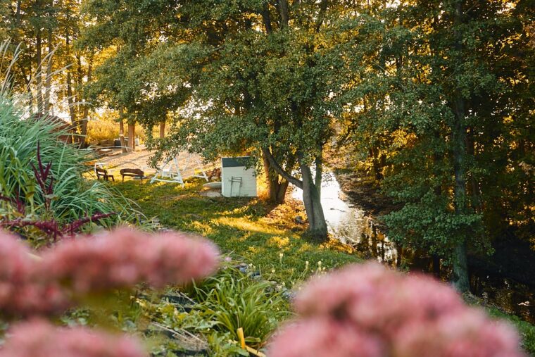 apartamenty-na-mazurach-krolowa-kaczek