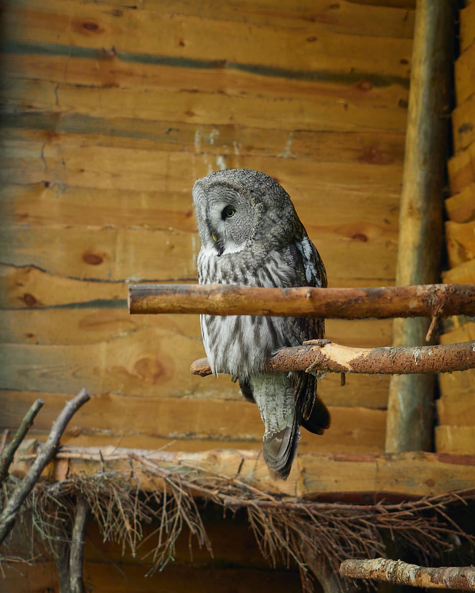 Park Dzikich Zwierząt Kadzidłowo